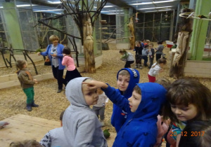 Dzieci w środku Papugarni podziwiają papugi.
